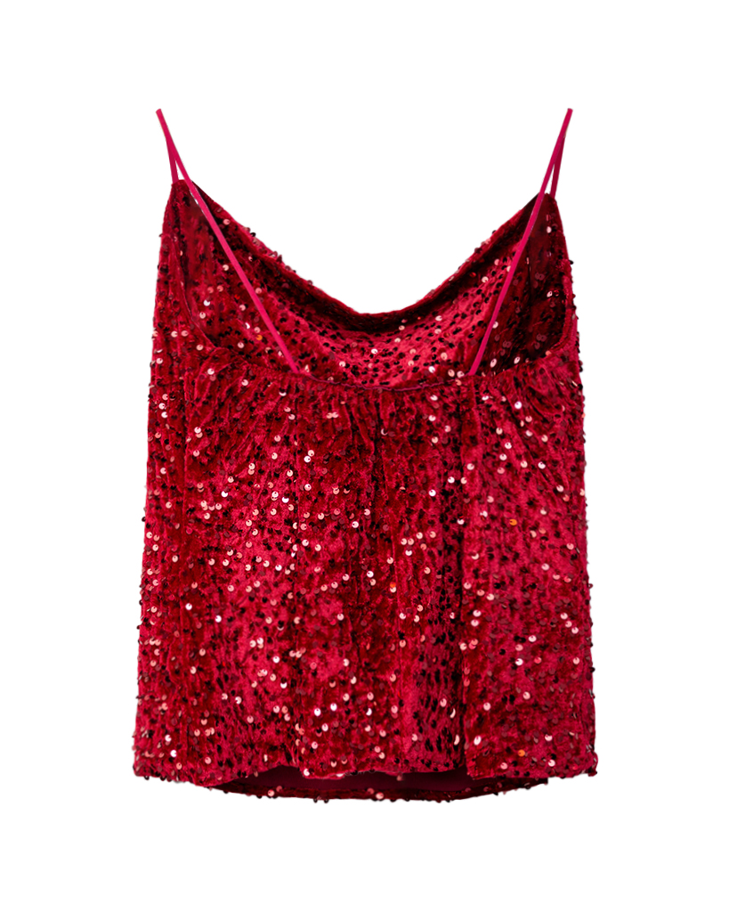 Samt Pailetten Top