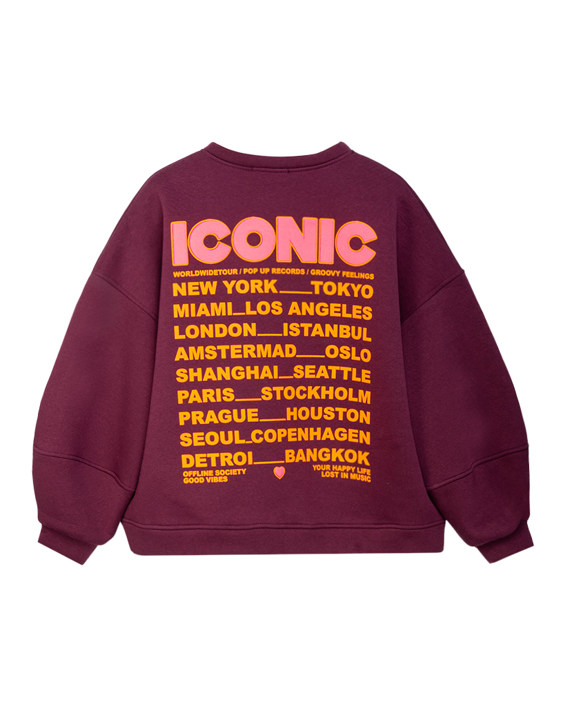 Iconic Pullover Iconic Pullover